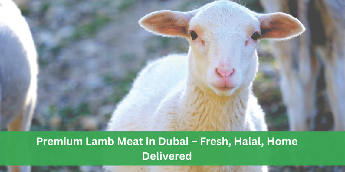 Lamb Meat in Dubai
